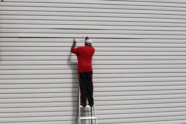 Affordable Siding Repair and Maintenance Services in Bismarck, ND